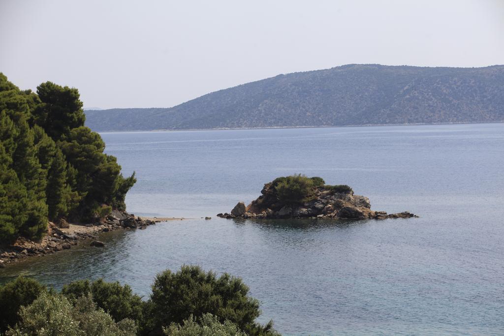 Apartament Casa Kalypso Steni Vala Alonissos Pokój zdjęcie